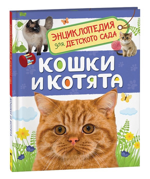 /data/images/8800021/88000211461.jpg