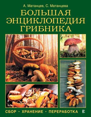 /data/images/8800021/88000213792.jpg