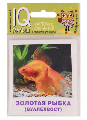 /data/images/8800021/88000216729.jpg