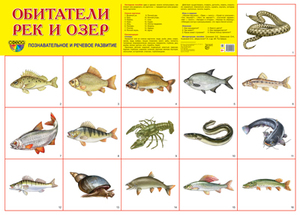 /data/images/8800025/88000250914.jpg