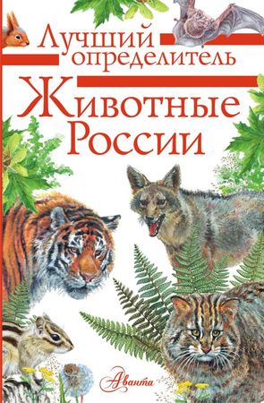 /data/images/8800025/88000257730.jpg